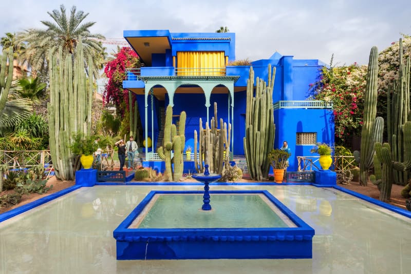 Jardin Majorelle Marrakech : Guide Complet 2026 – Prix, Horaires, Histoire et Conseils de Visite