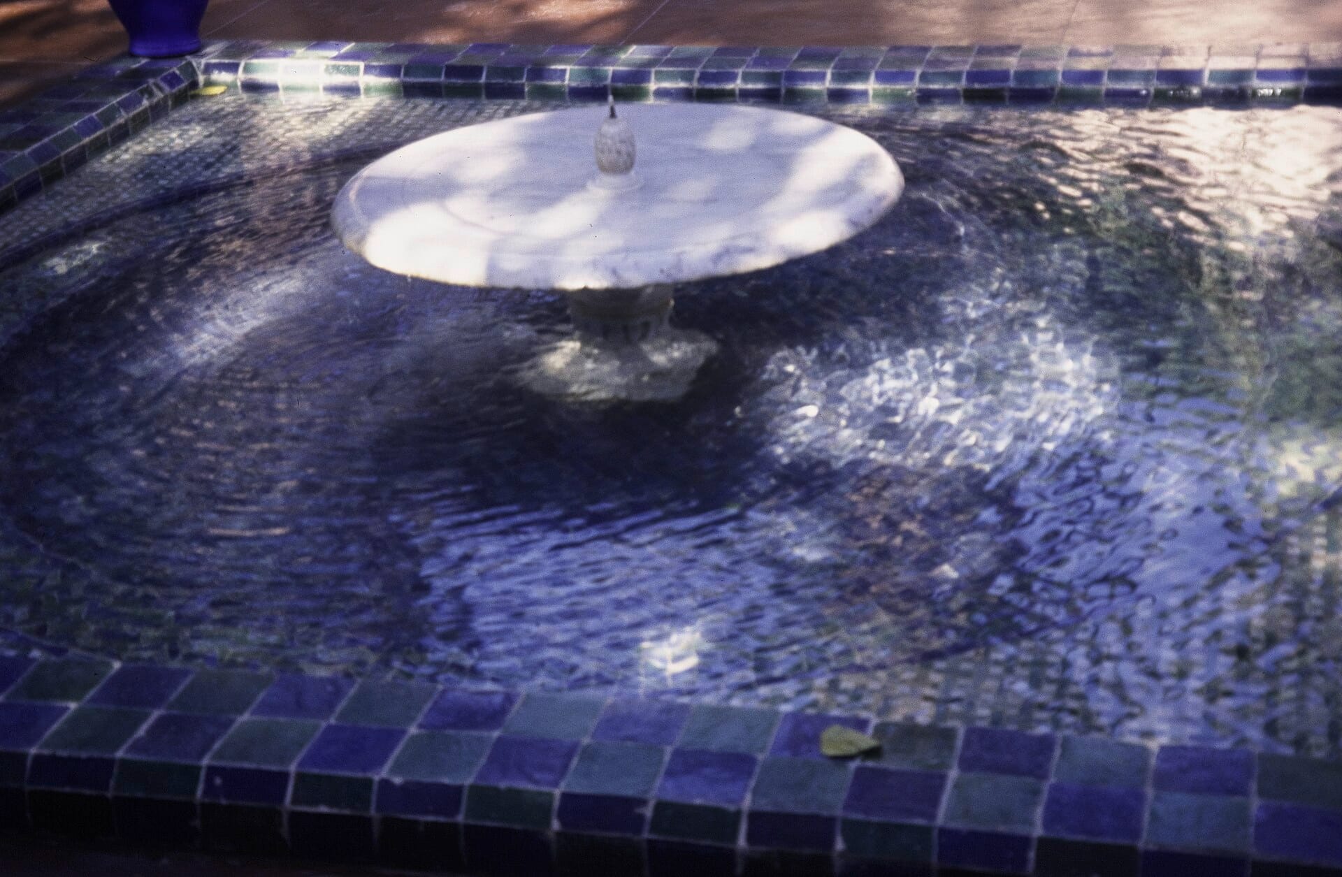 Jardin Majorelle, à proximité du quartier Guéliz à Marrakech