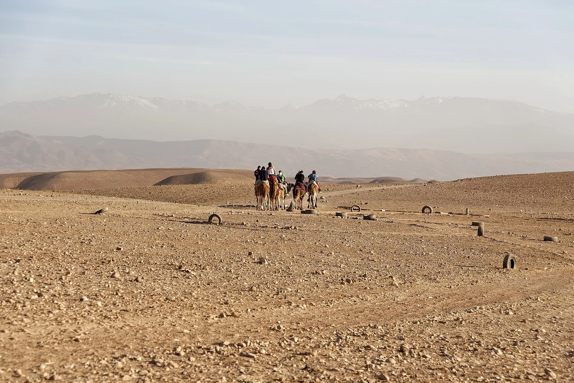 The Agafay stone desert with the Atlas in the background