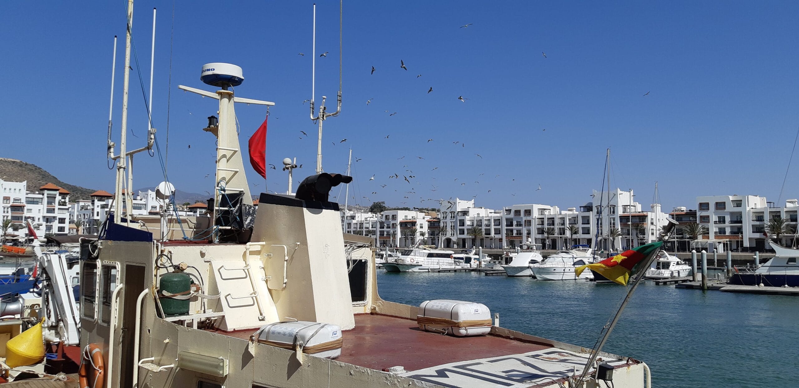 Marina von Agadir
