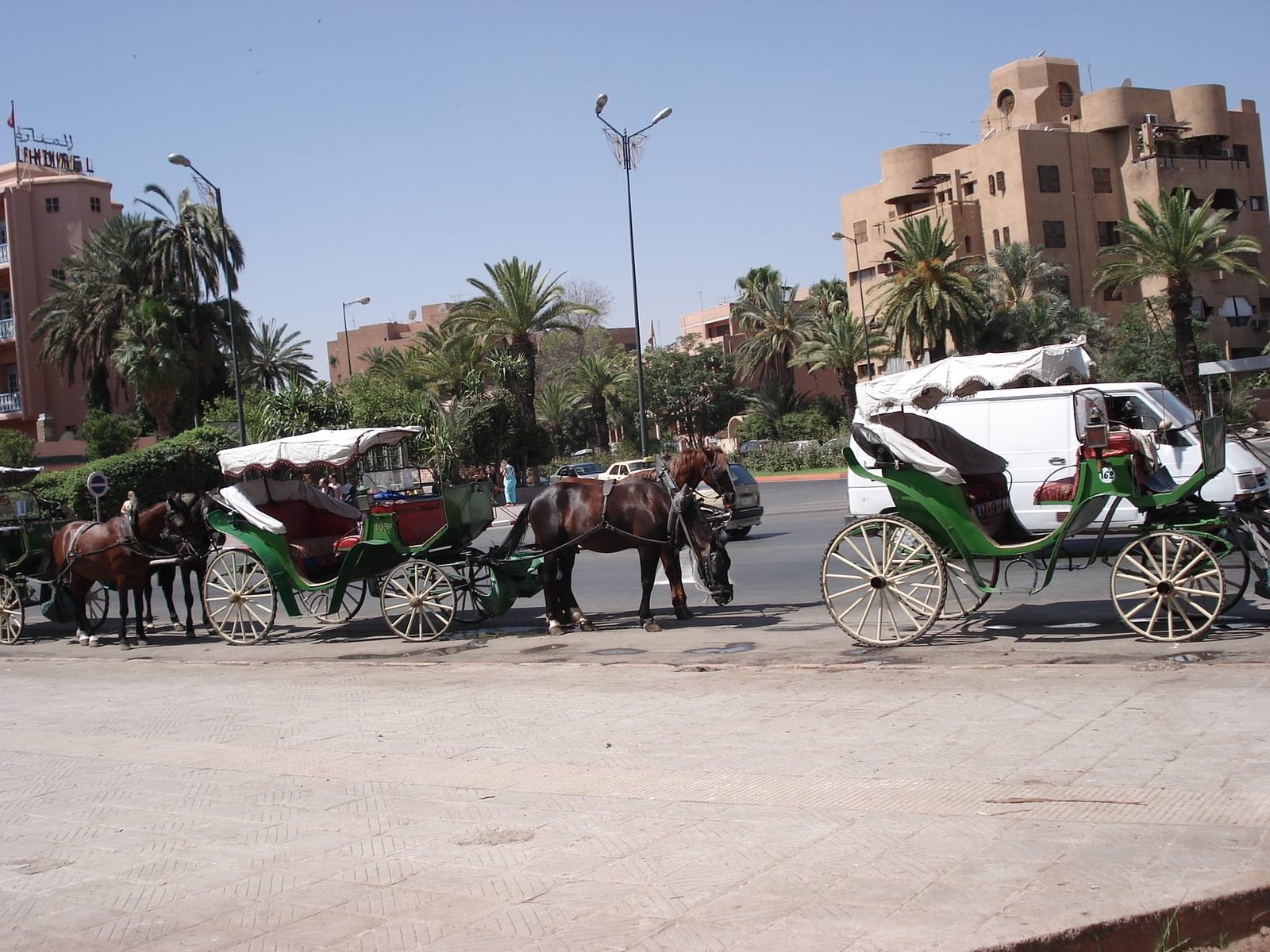 Calèches alignées à Marrakech en attente de passagers