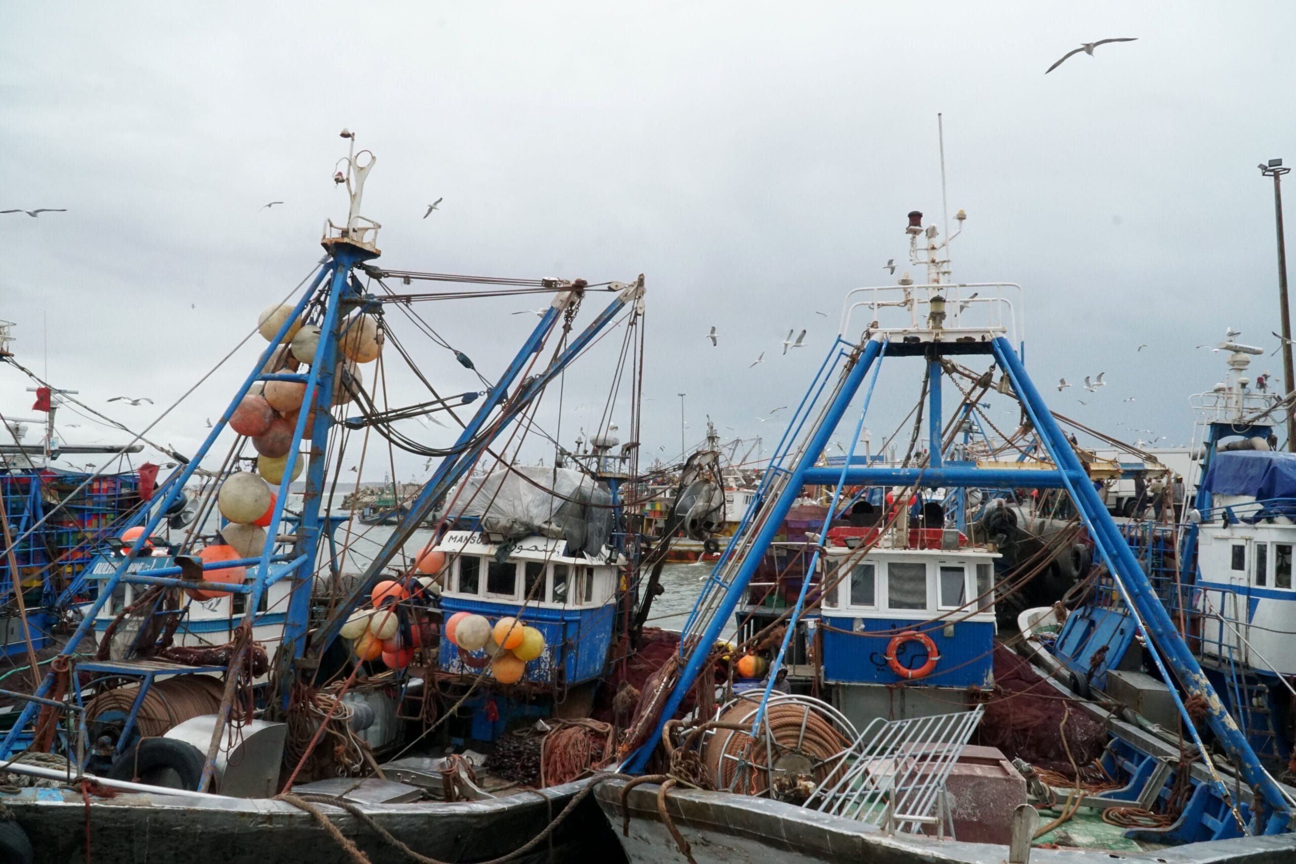 The port and its blue boats