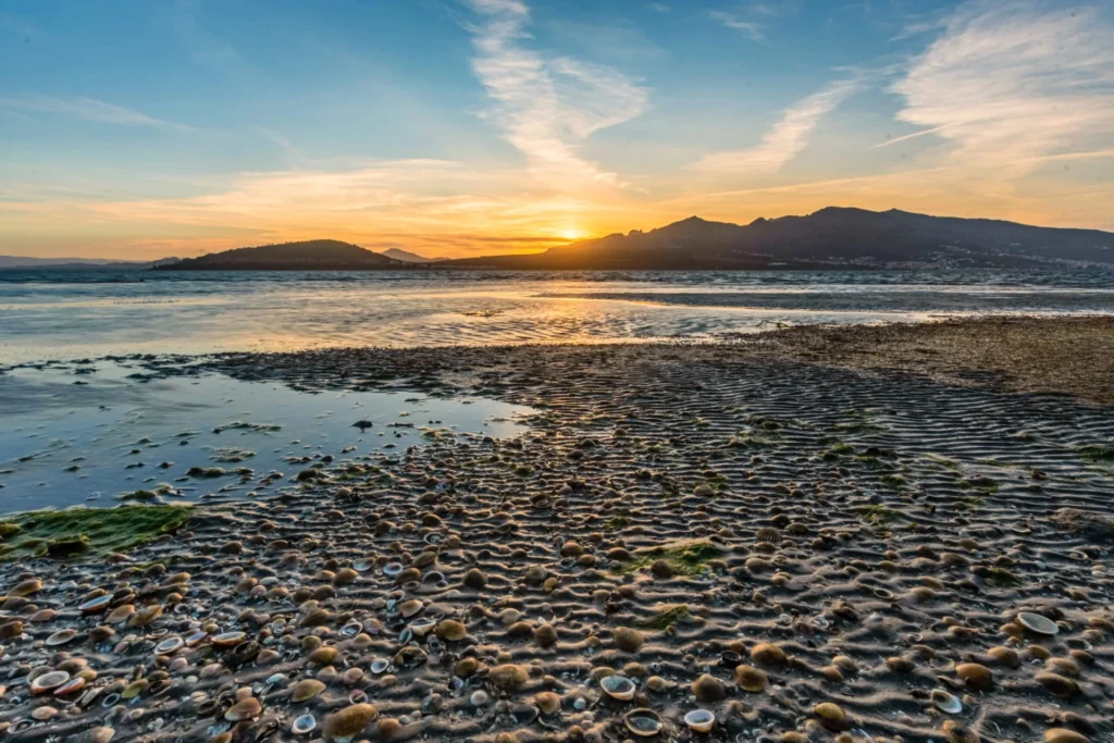 Aguas de la laguna de Marchica