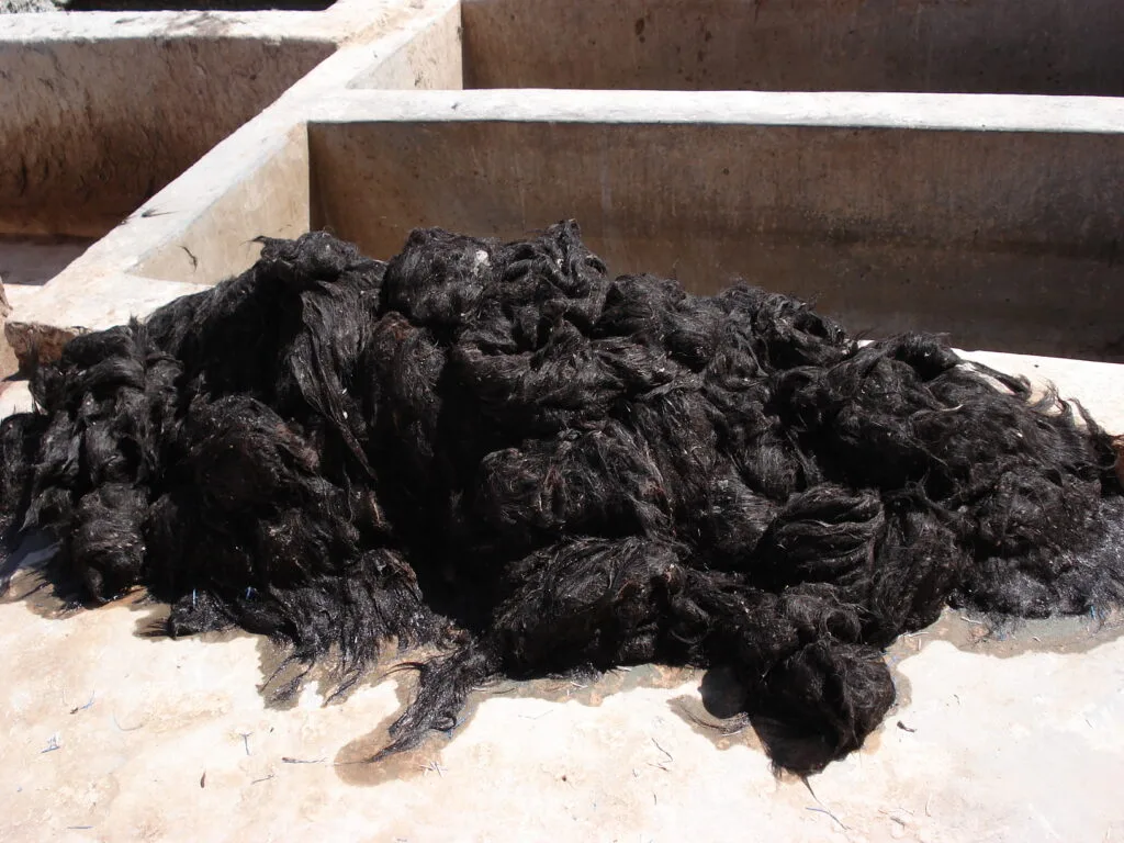 Une tannerie traditionnelle dans la médina de Marrakech