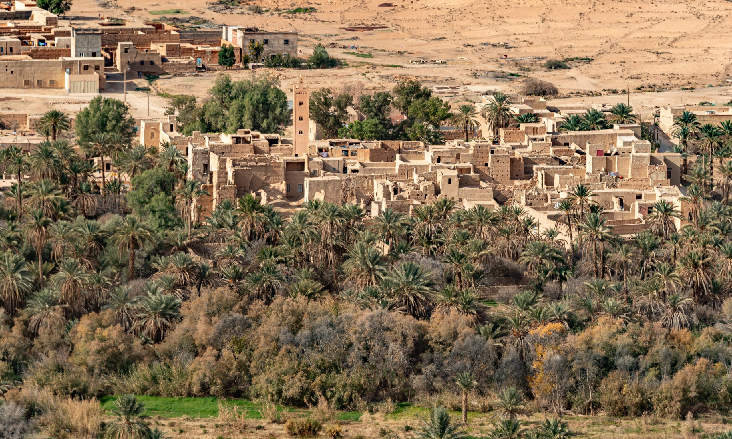 Ziz-Tal