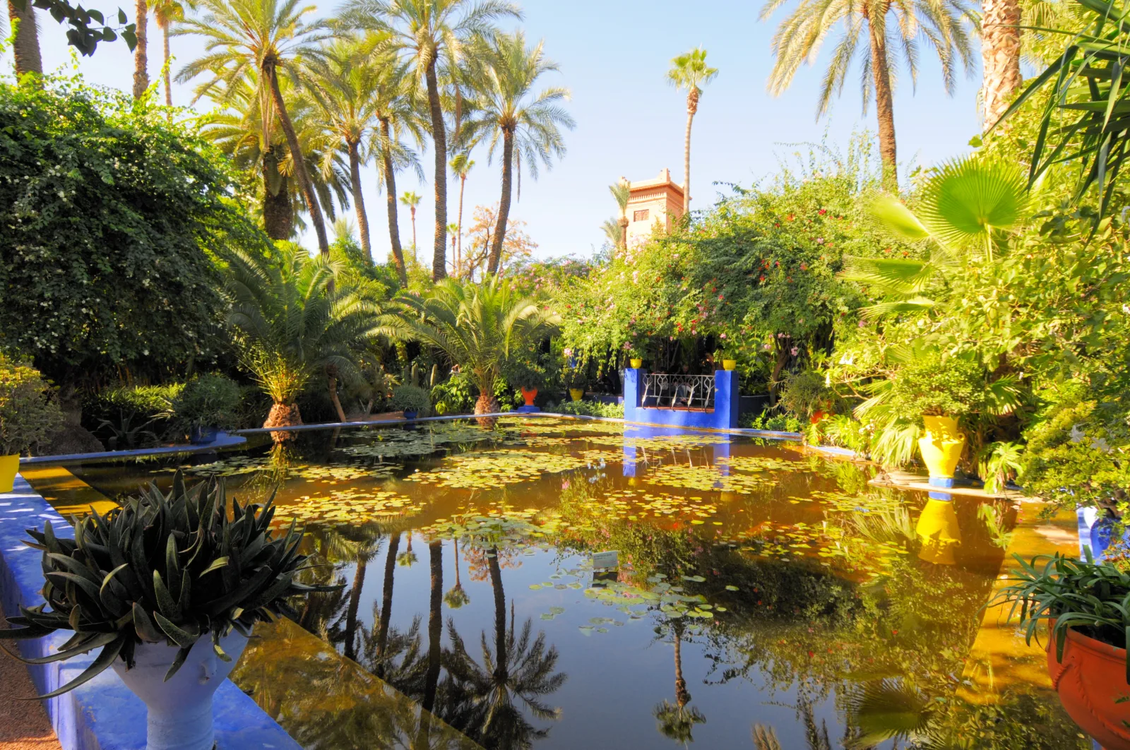 Le bleu Majorelle du jardin Majorelle à Marrakech