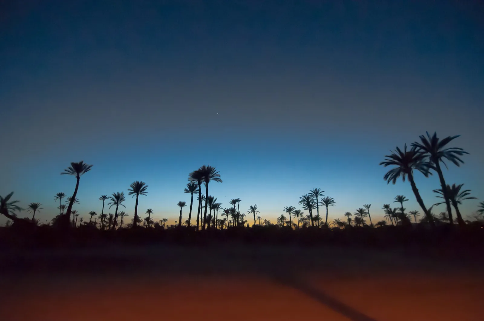 Palmeraie et paysage aux portes de Marrakech