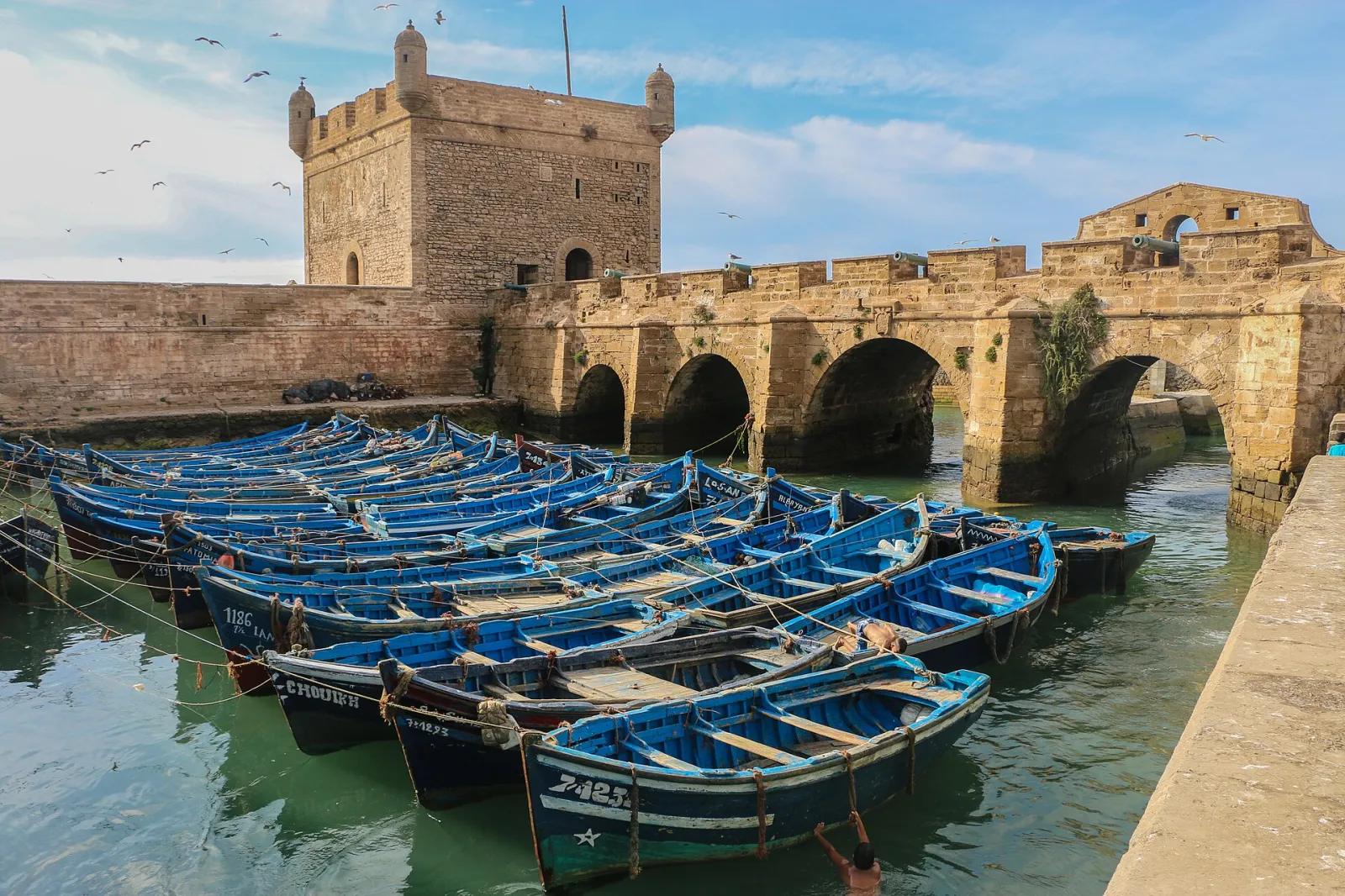 Stadtmauern von Essaouira am Atlantik, Marokko