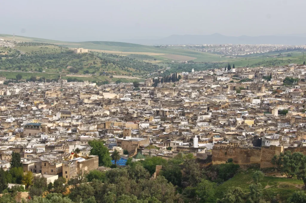 Vue panoramique des toits de la médina de Fès el-Bali depuis les tombeaux mérinides