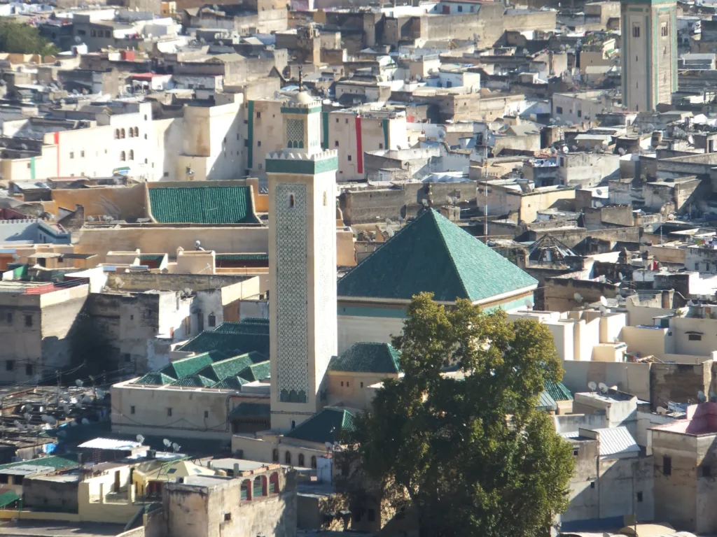 Veduta della medina di Fes el-Bali dalle tombe merinidi con il minareto e il tetto piramidale verde della zaouia Moulay Idriss II