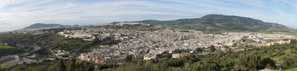 Vue panoramique de la médina de Fès el-Bali entourée de collines