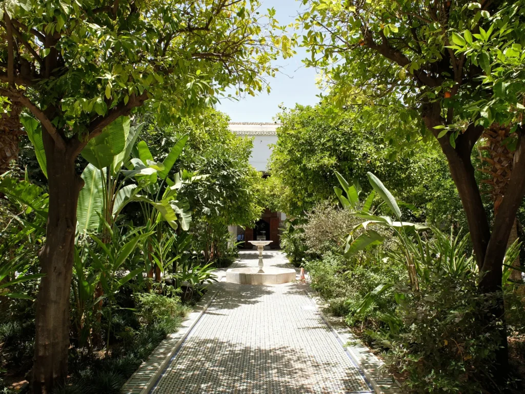 Jardin riad de Dar El Bacha à Marrakech avec allée pavée, orangers et vasque centrale