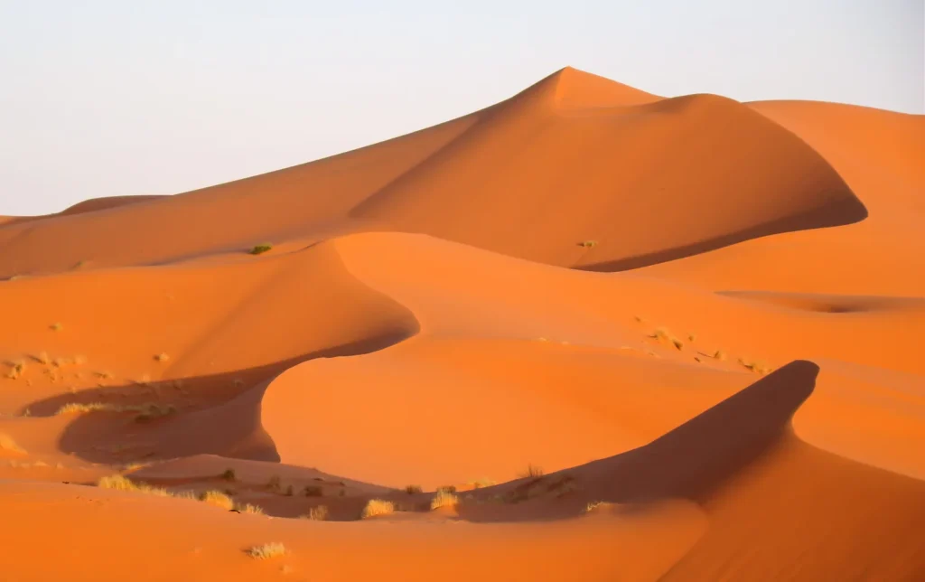 Grandes dunas de arena anaranjada del erg Chebbi cerca de Merzouga, con algunas matas de hierba seca